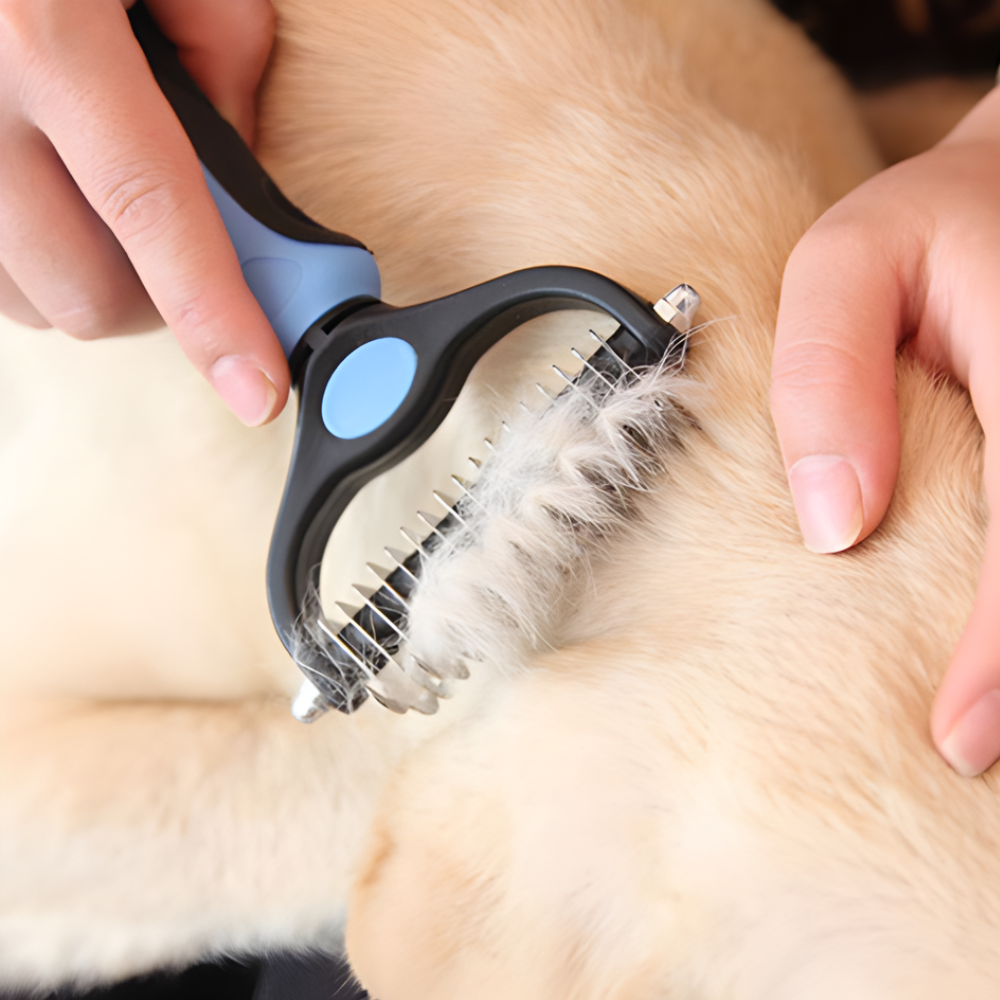 Detangling and Massage Dog Brush Grooming