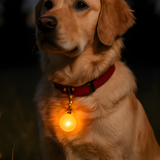 Dog LED Safety Light Collar Clip Night Walking Visibility