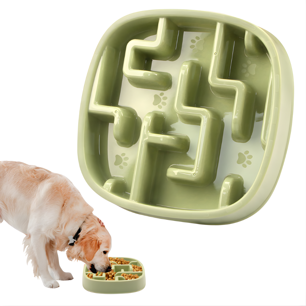 Dog Slow Feeder Bowl Anti Gulp Puzzle Feeding Dish