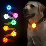 Dog LED Collar Light Night Walking Safety Clip