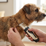 Cordless Dog Grooming Clippers Quiet Low Noise Home Kit