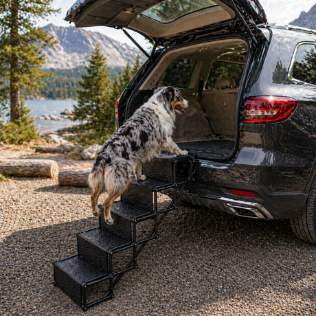 Portable Pet Steps | Foldable Dog Stairs with Non-Slip Surface | 5-Step Design for Joint Protection 2