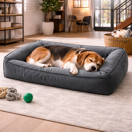 Premium Orthopedic Dog Bed | Waterproof Memory Foam with 360-Degree Bolster for Joint Support 2