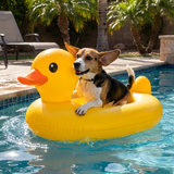 Inflatable Dog Pool Float Ride On Whale Summer Water Toy