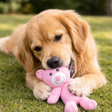 Dog Plush Bear Toy Soft Cuddly Pet Chew Toy
