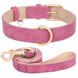 Dog Collar and Leash Set Velvet For All Dog Sizes