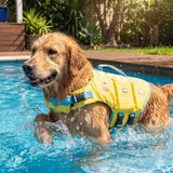 Dog Life Jacket - Extra Padding Dog Life Jacket