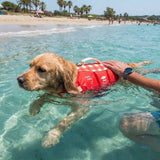 Dog Life Jacket - Extra Padding Dog Life Jacket
