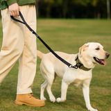 Heavy Walking Dog Leash with Seatbelt Clip