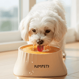 Dog Water Indoor Pet Drinking Dispenser