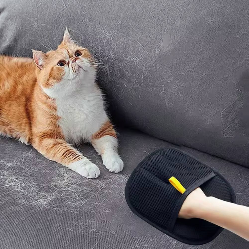 Cat Pet Hair Remover Grooming Glove Furniture