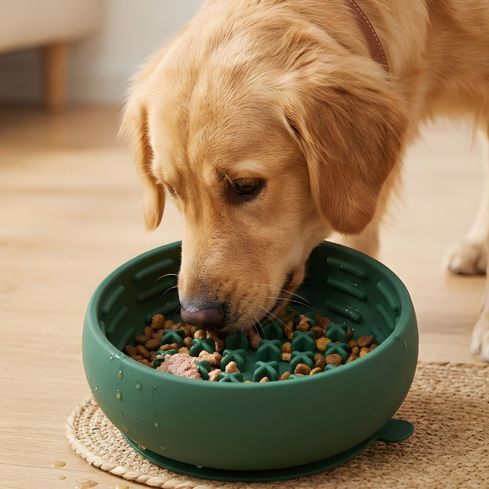 Dog Slow Feeder Bowl