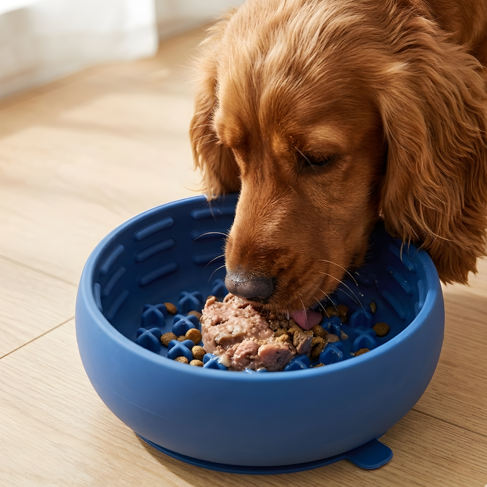 Dog Slow Feeder Bowl