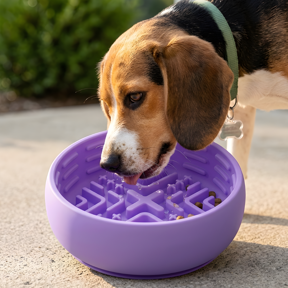 Dog Slow Feeder Bowl