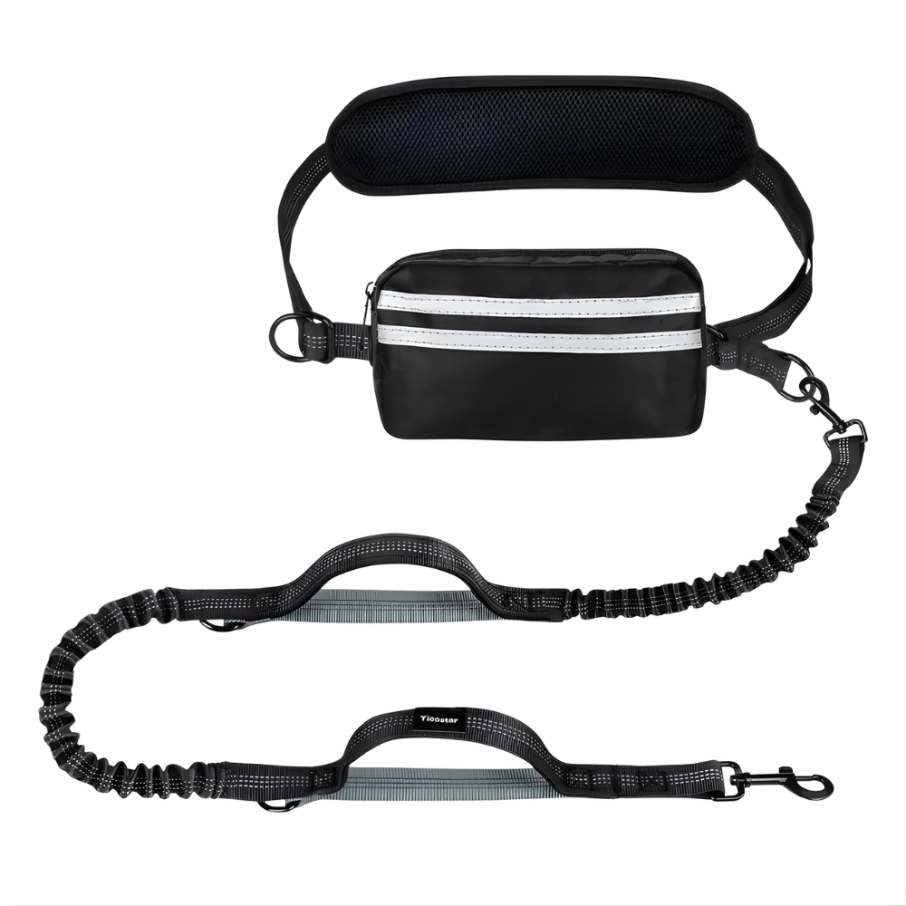 Hands Free Double Dog Lead Bungee Running Waist Belt