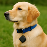Dog Collar Pet Tracker Tag Everyday Walking Accessory
