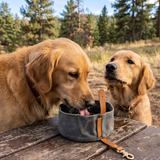 Dog Travel Water Bowl Collapsible Hydration Pet Feeder