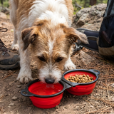 Dog Bowl Collapsible Pet Food Water Feeder