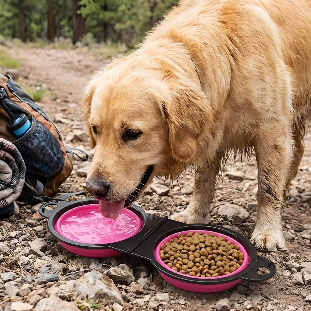 Dog Bowl Collapsible Pet Food Water Feeder