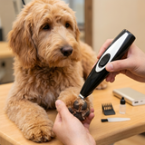 Dog Paw Trimmer Cordless Pet Pedicure Hair Clipper Kit