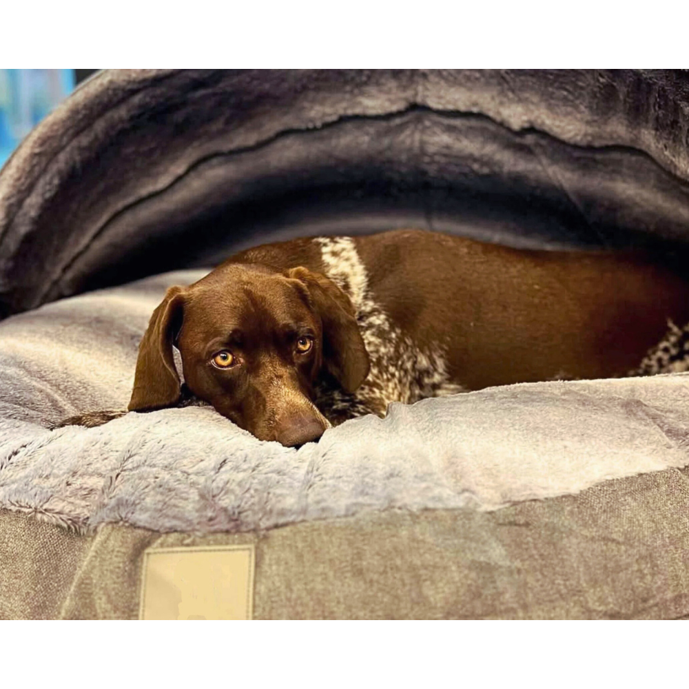 Dog Cave Bed Hooded Plush Extra Cosy Burrow Washable Pet Bed