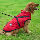 Dog Raincoat - Waterproof Rain Gear For Dogs
