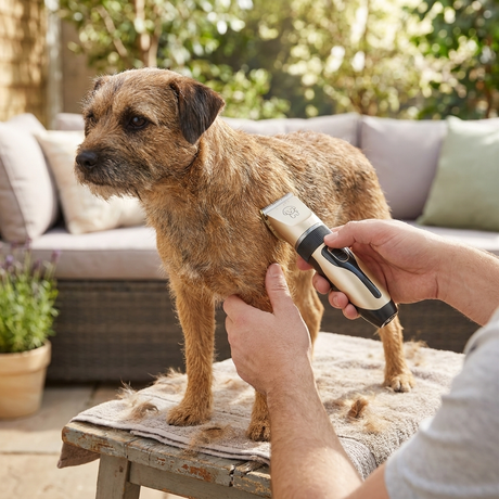 PawTrim dog clipper lifestyle