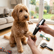TrimEase dog trimmer lifestyle