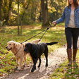 TwinTrek dual dog leash lifestyle