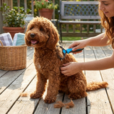 GentleGroom Pet Grooming Brush