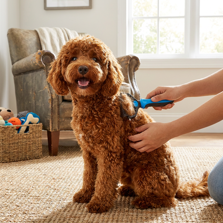 GentleGroom Pet Grooming Brush