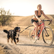RideMate Bike Leash Attachment