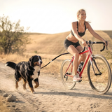 RideMate Bike Leash Attachment