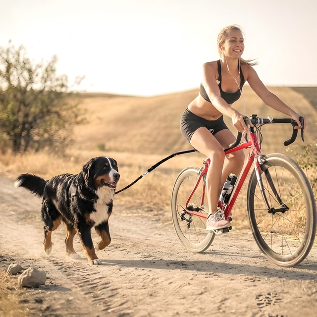 RideMate Bike Leash Attachment