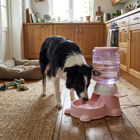 AutoPour gravity food dispenser lifestyle