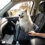 PawLift waterproof dog car seat lifestyle