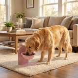 Dog Raised Bowl Elevated Feeder Stand