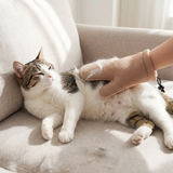Cat Grooming Glove Deshedding Hair Remover