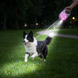 Dog Retractable Leash LED Light Night Walking Lead