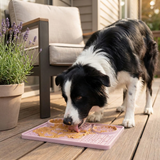 Dog Lick Mat Slow Feeder Silicone Tray