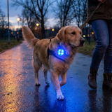 Dog LED Collar Light Night Walking Safety Clip