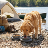 Dog Travel Bowl Collapsible Food Water Outdoor Feeder