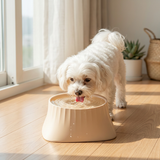 Dog water dispenser in a home corner