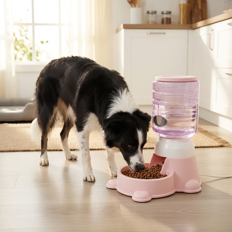 Dog feeding from gravity dispenser at home