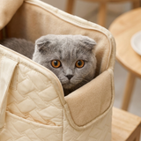 Cat Carrier Bag Travel Shoulder Tote with Padded Sides