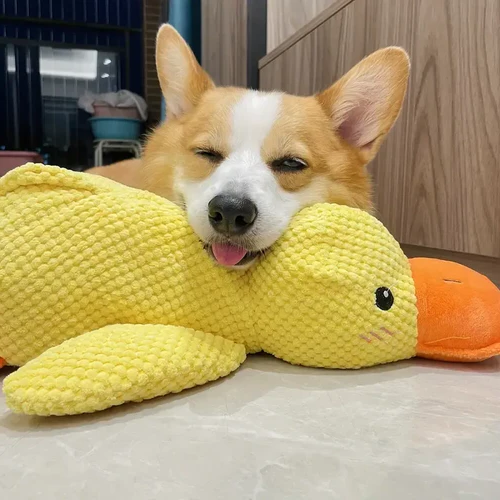 Dog Chew Toy - Calming Duck Chewable Puppy Teething Toy