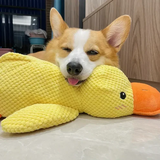 Dog Chew Toy - Calming Duck Chewable Puppy Teething Toy