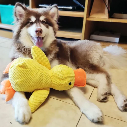 Dog Chew Toy - Calming Duck Chewable Puppy Teething Toy