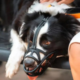 Dog Muzzle - Anti Bite Muzzle Basket For Dogs